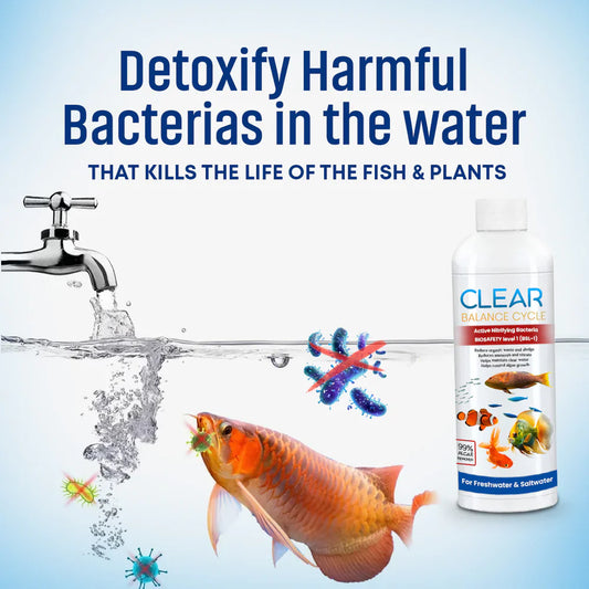 Automatic Fish Tank Purifier & Cleaner | š„Buy 1 Get 2 Freeš„